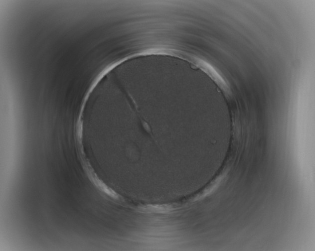 X0000116120900200911231213