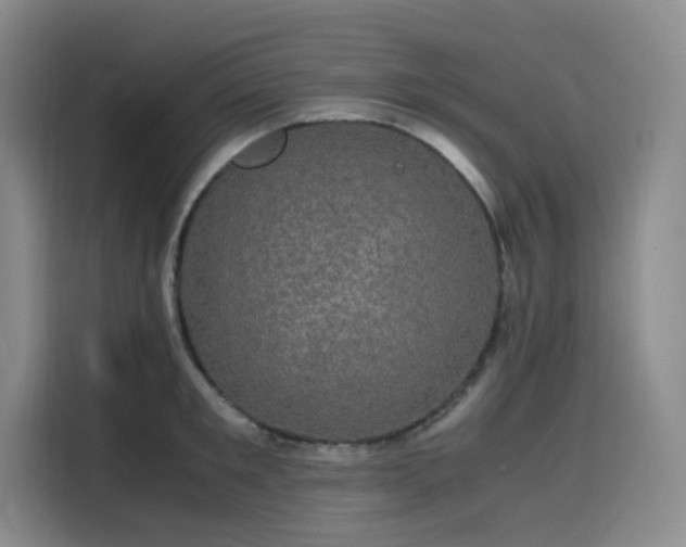 X0000116120901200911231213