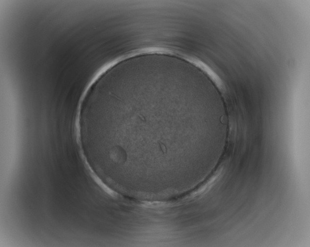 X0000116120902200911231213