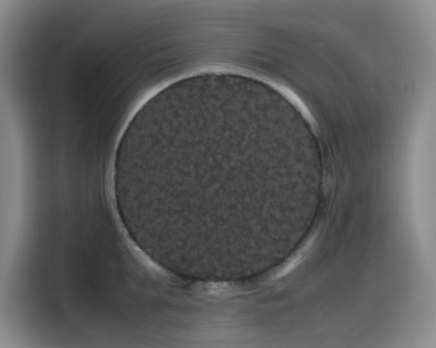 X0000116120903200911231213