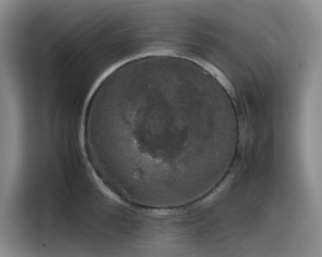 X0000116120904200911231213