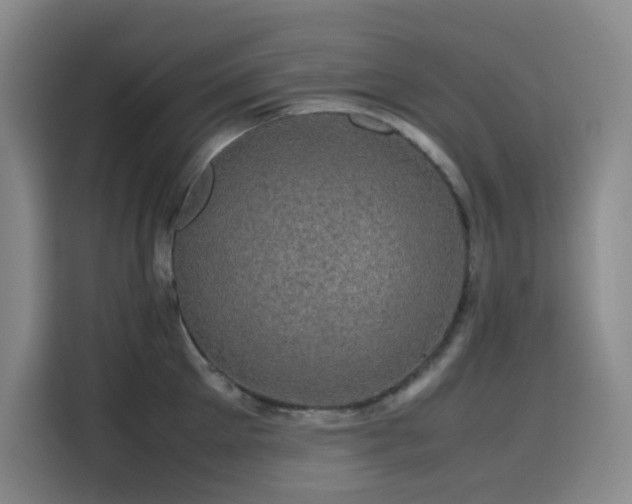 X0000116120905200911231213