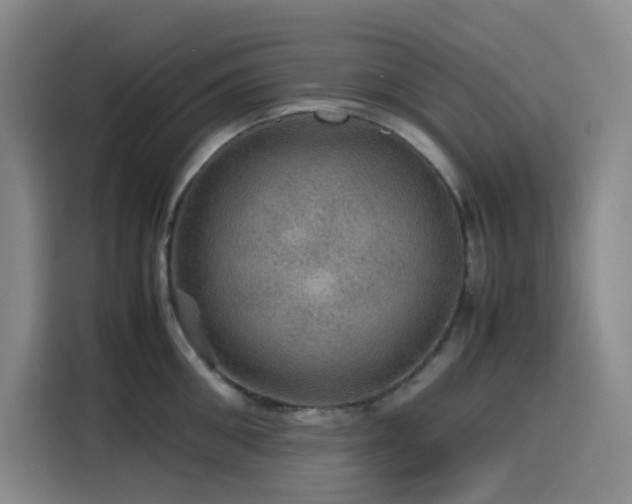 X0000116120906200911231213