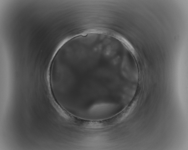 X0000116120907200911231213