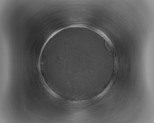 X0000116120908200911231213