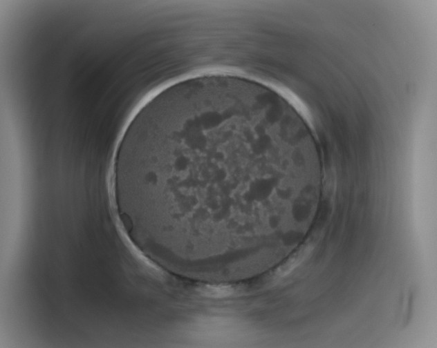 X0000116120911200911231212