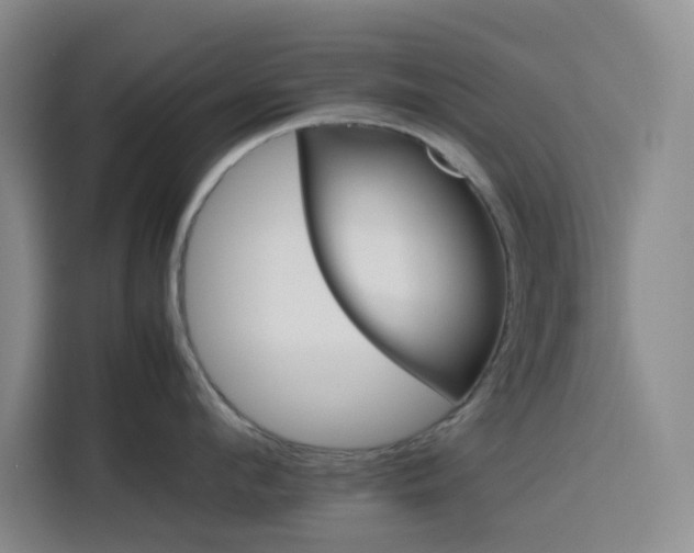 X0000116120912200911231212