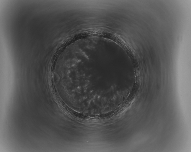 X0000116120913200911231212