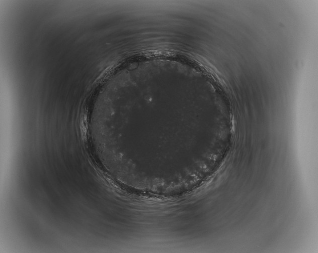 X0000116120915200911231212