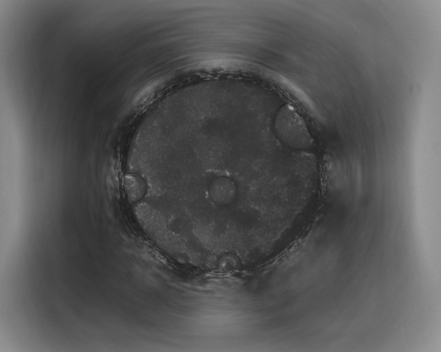 X0000116120918200911231212