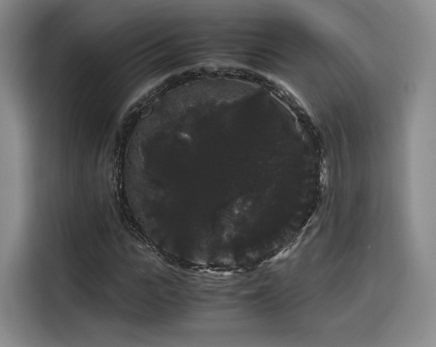 X0000116120919200911231212