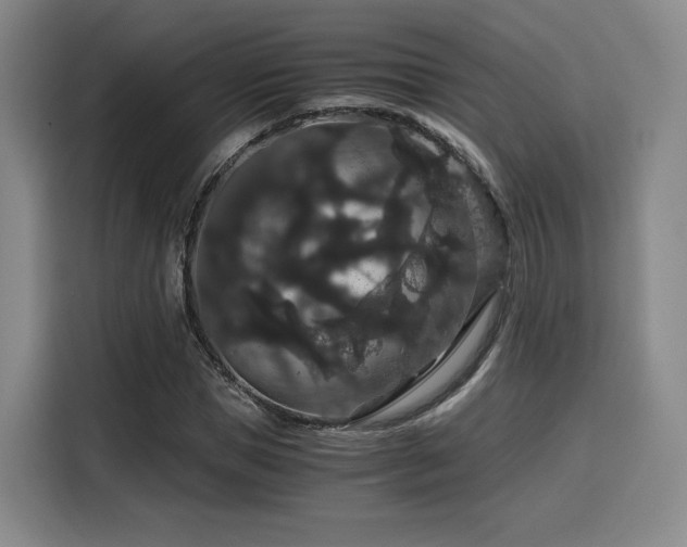 X0000116120921200911231212