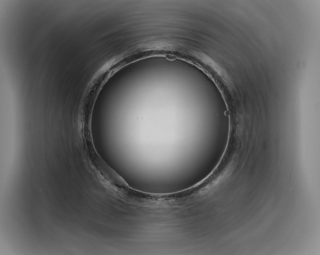 X0000116120922200911231212