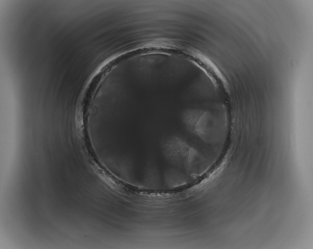 X0000116120923200911231212