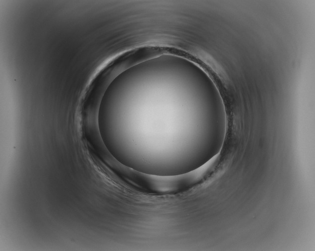 X0000116120926200911231212