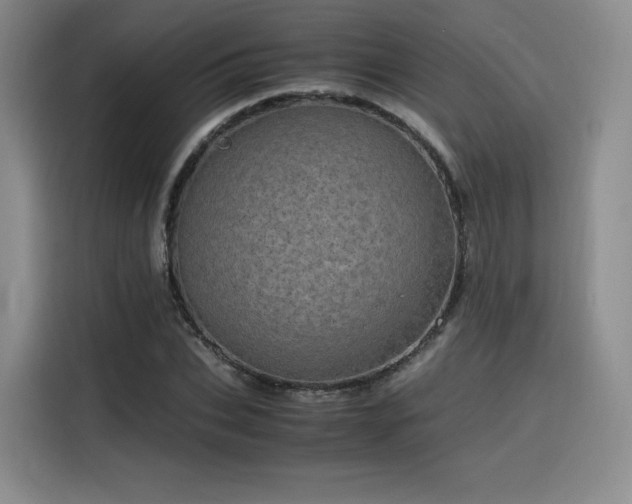 X0000116120927200911231212