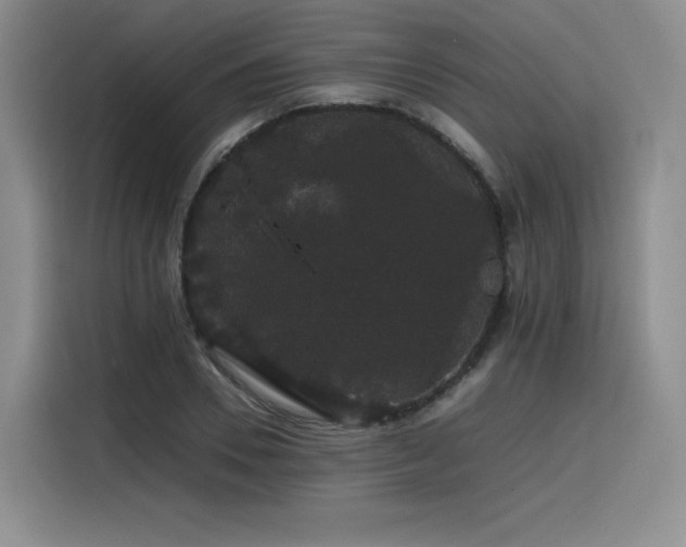 X0000116120930200911231212