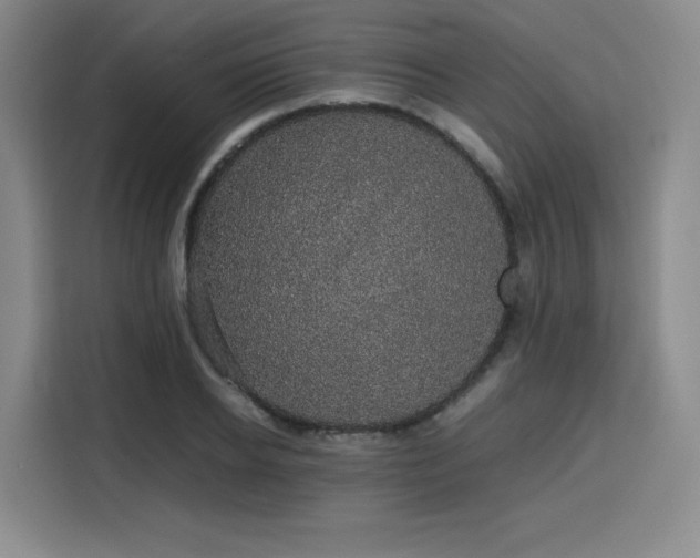 X0000116120934200911231212