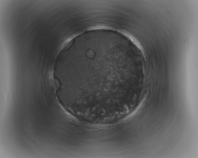 X0000116120937200911231212