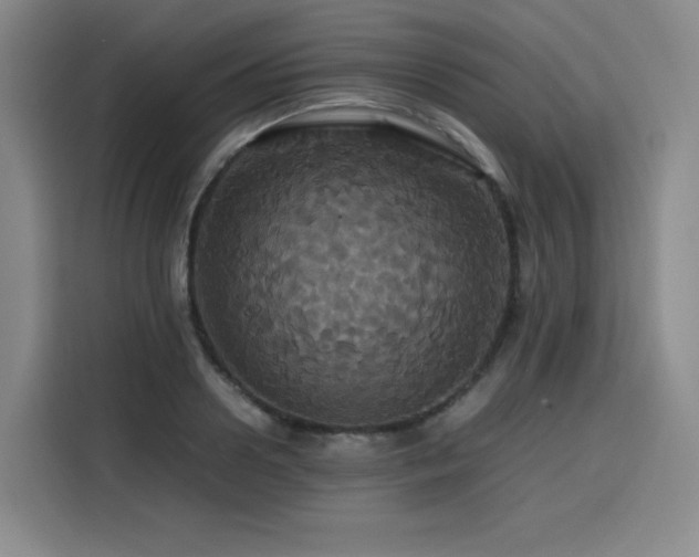 X0000116120938200911231212