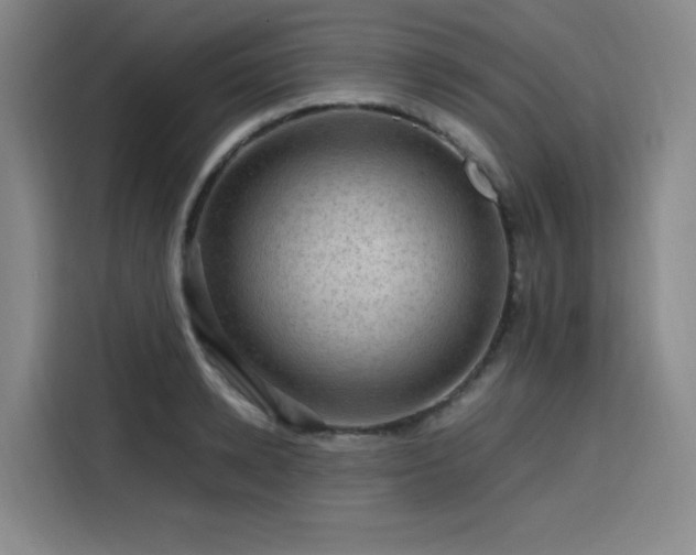 X0000116120942200911231212