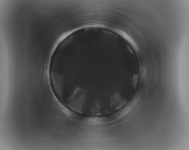 X0000116120943200911231212