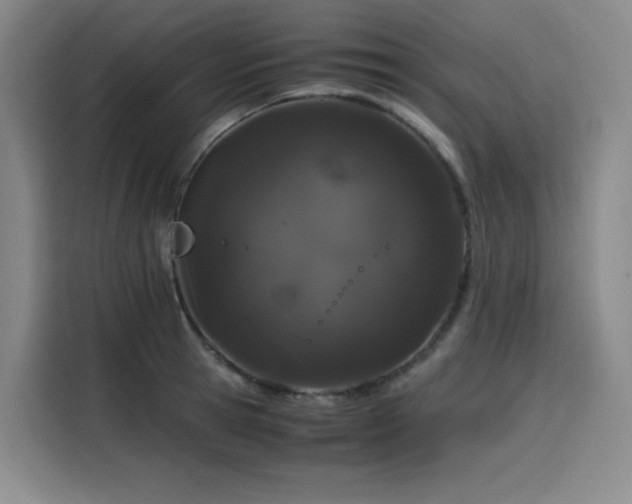 X0000116120945200911231212