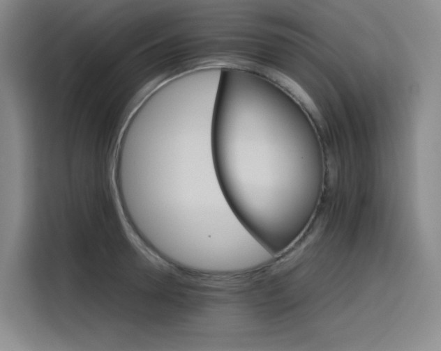 X0000116120946200911231212