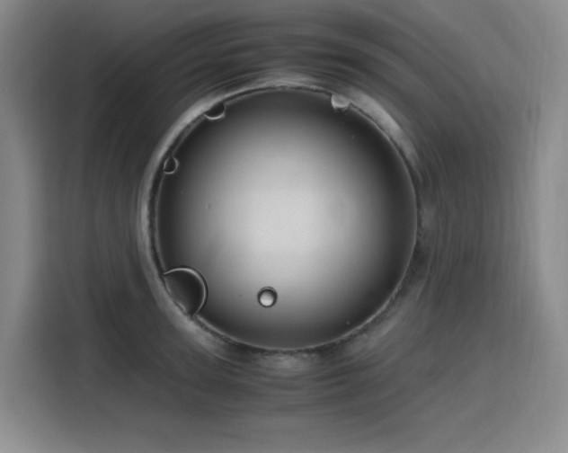 X0000116120947200911231212