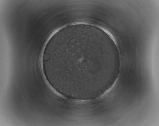 X0000116120949200911231212