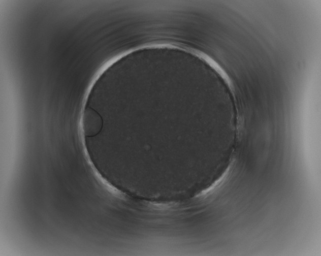 X0000116120951200911231212