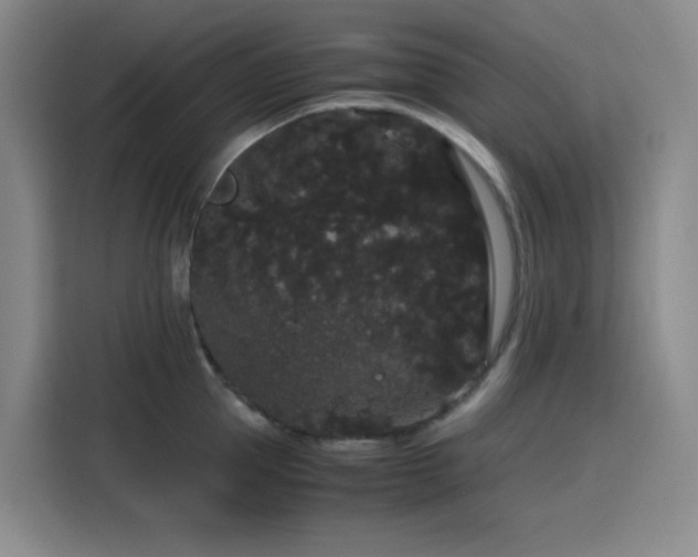 X0000116120953200911231212