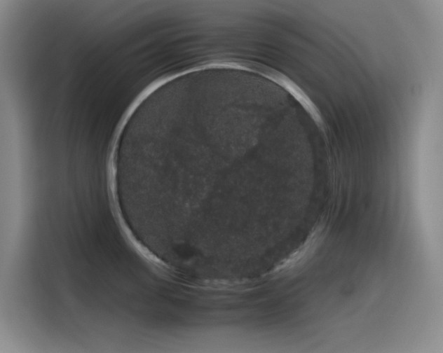 X0000116120955200911231212