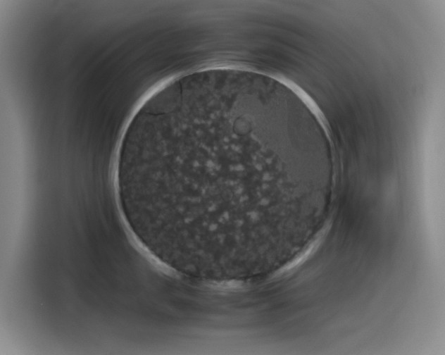 X0000116120957200911231212