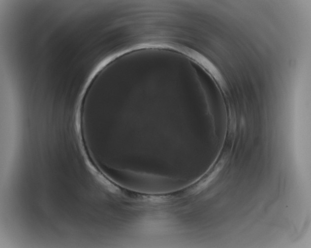 X0000116120958200911231212