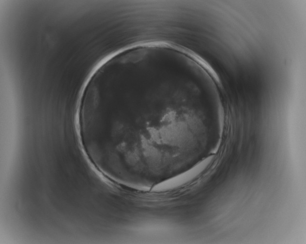 X0000116120959200911231212