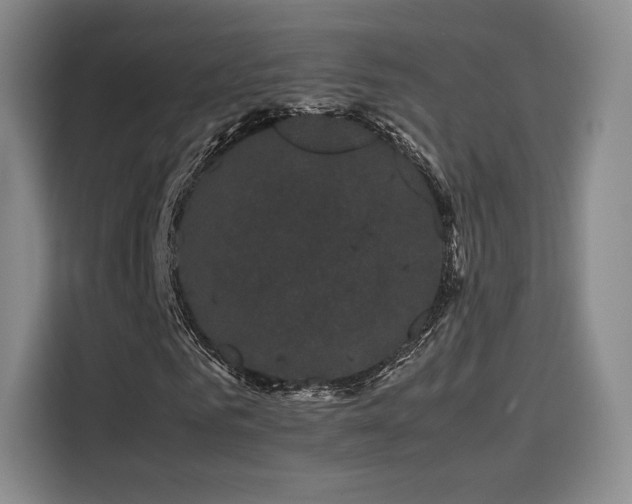 X0000116120961200911231212