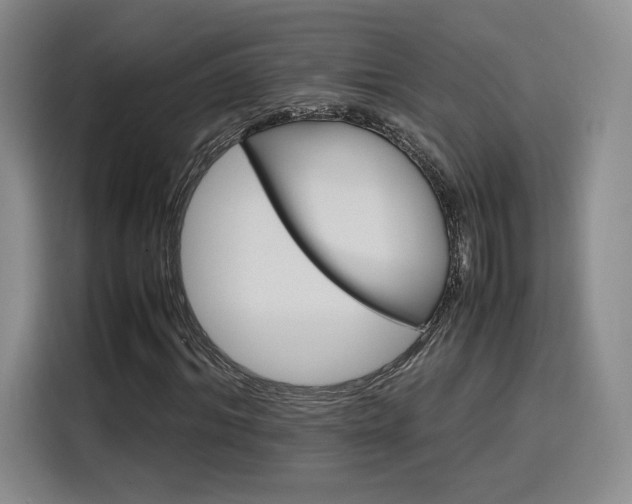 X0000116120964200911231212