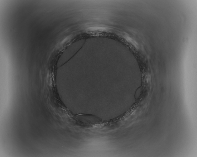 X0000116120965200911231212