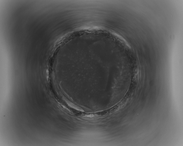 X0000116120966200911231212