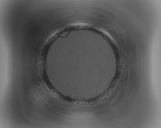 X0000116120967200911231212