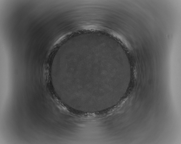 X0000116120968200911231212