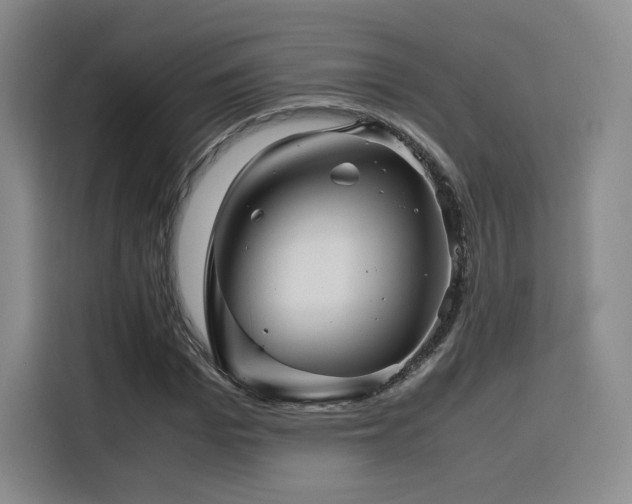 X0000116120969200911231212