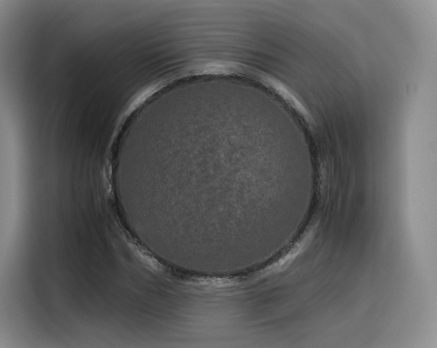 X0000116120970200911231212