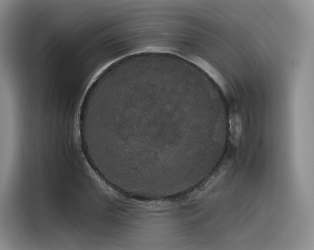 X0000116120972200911231212