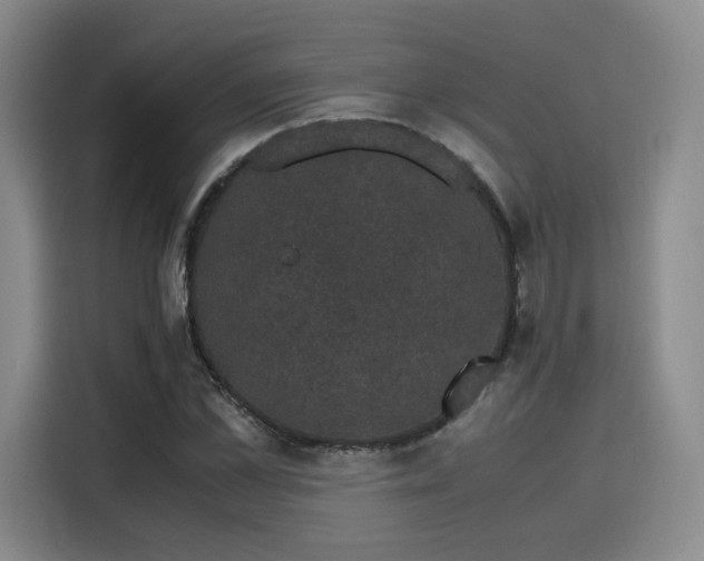 X0000116120973200911231212