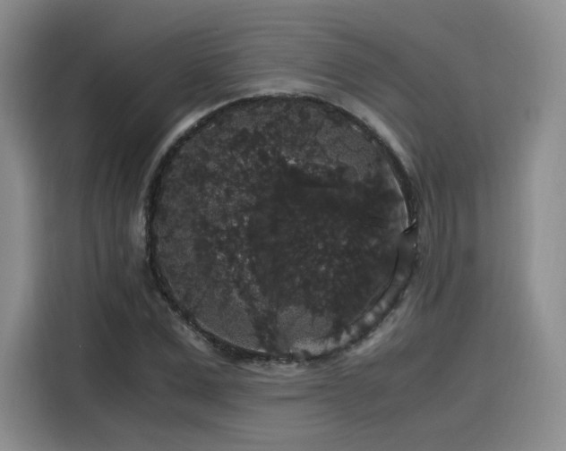 X0000116120975200911231212