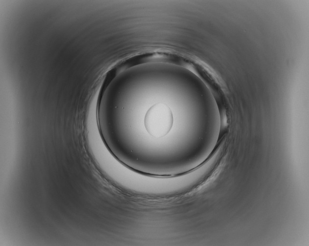 X0000116120977200911231212