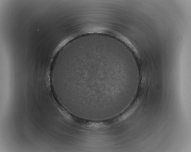 X0000116120978200911231212