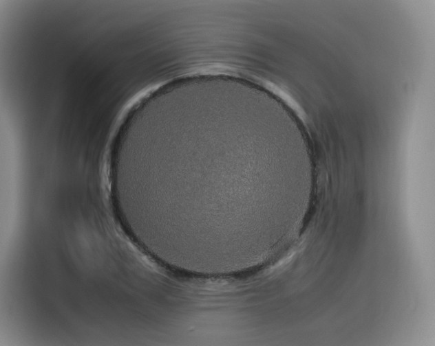 X0000116120979200911231212